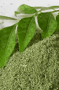Curry Leaf Powder
